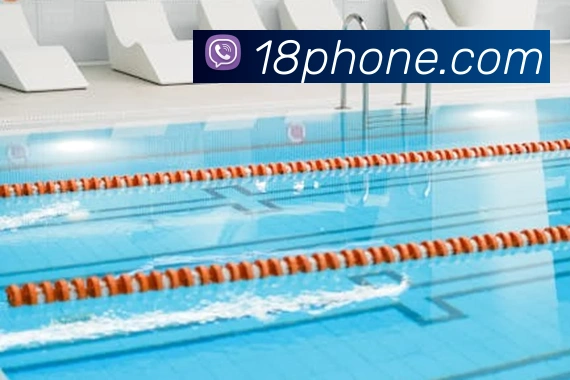 开云在线官网登录入口平台生态图